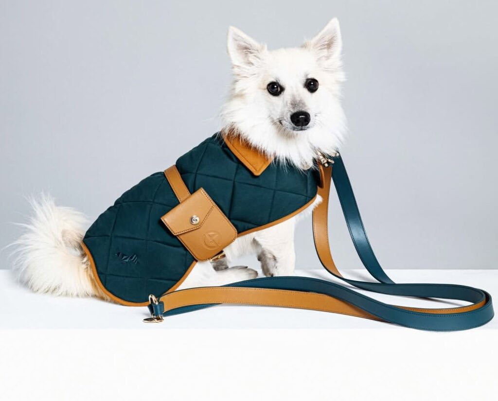 Abbigliamento per cani