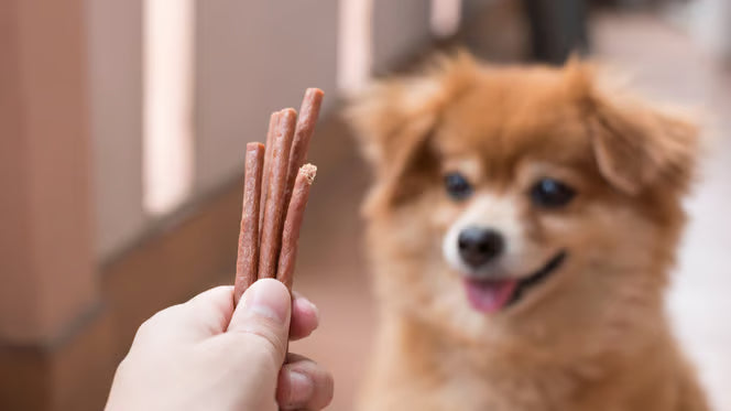 Snack per cani