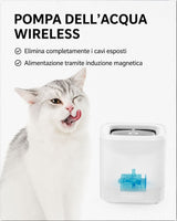 Fontanella Automatica PETKIT