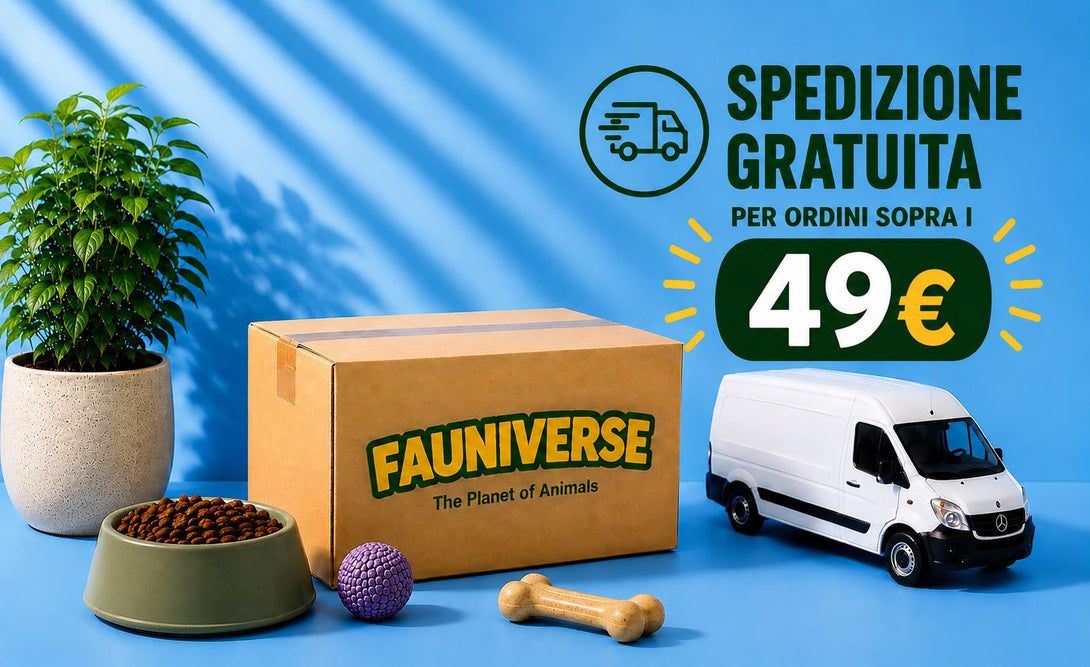 SPEDIZIONE GRATUITA